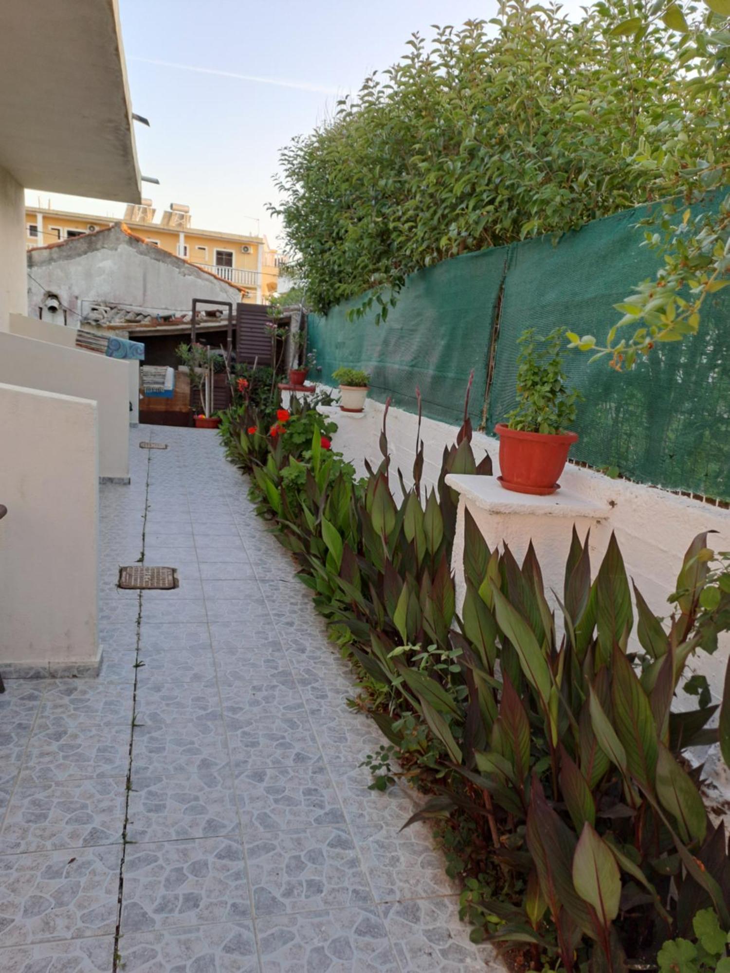 Tony'S Apartments Agios Georgios  Bagian luar foto